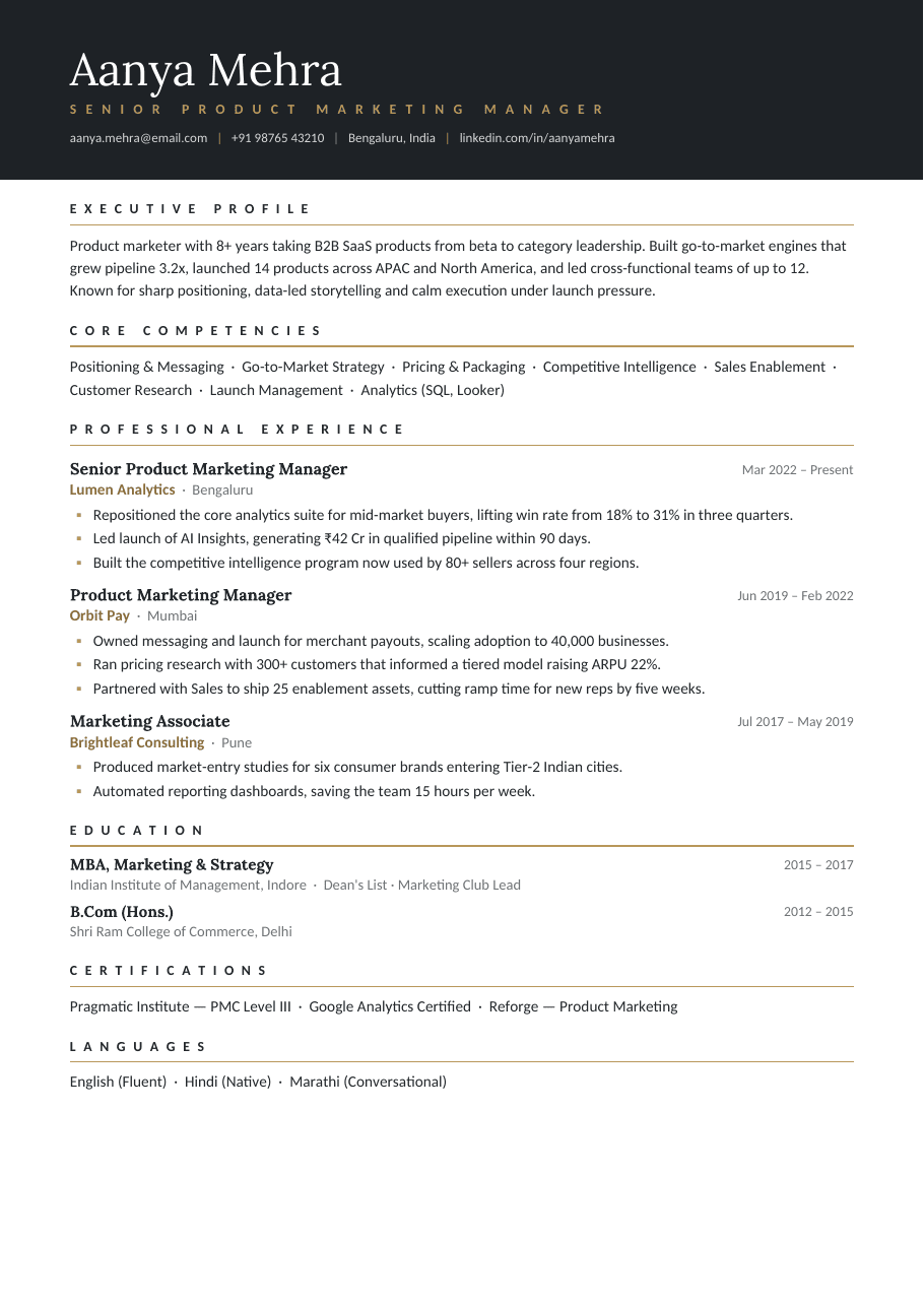 Noir Executive résumé template