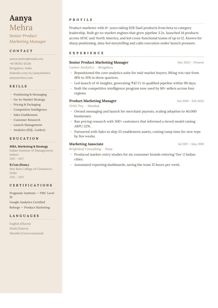 Sand Dune résumé template